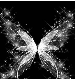 Meet your Posher, Shay